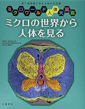 Amazon.co.jp: ミクロの世界から人体を見る (ミクロワールド人体